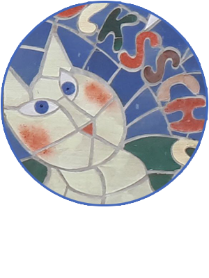 VS Niederneukirchen Logo